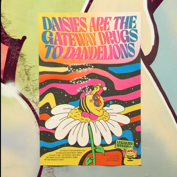 Poster reading DAISIES ARE THE GATEWAY DRUGS TO DANDELIONS over an illustrated daisy