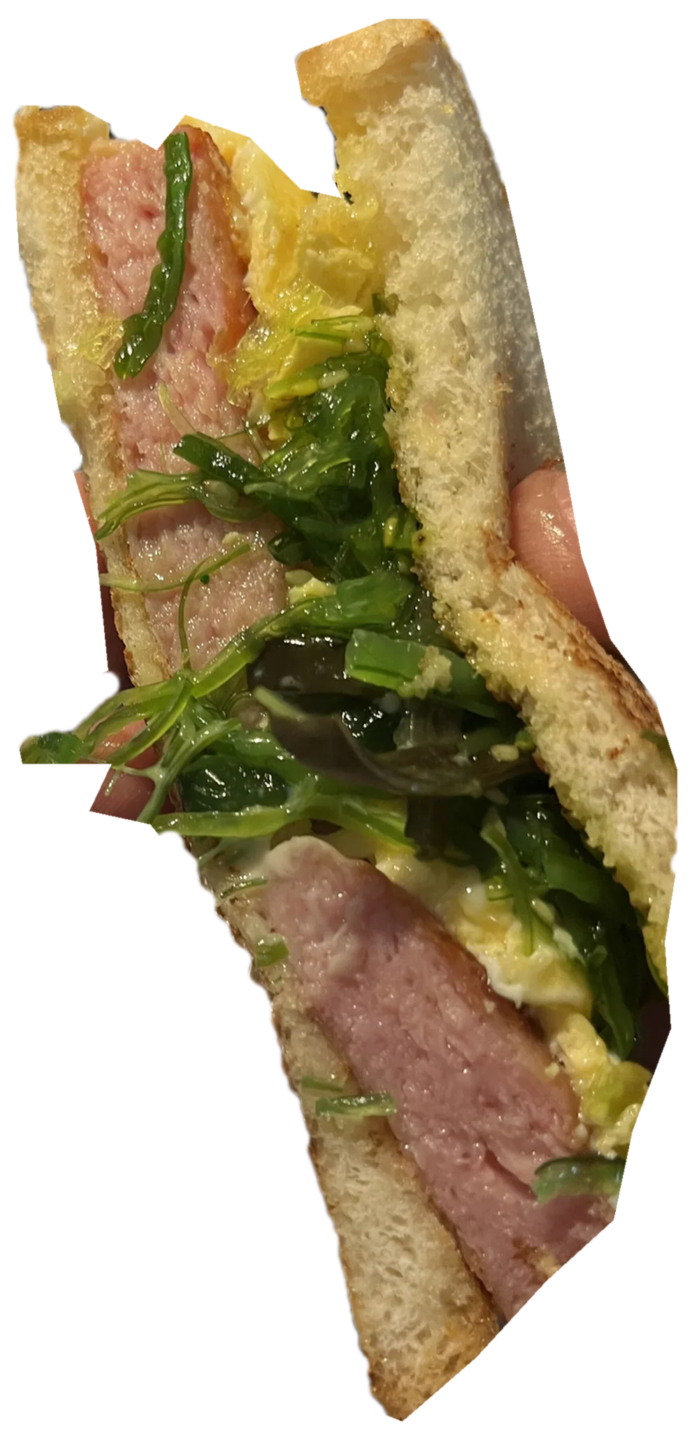 The Skillet, photographed in cross-section.