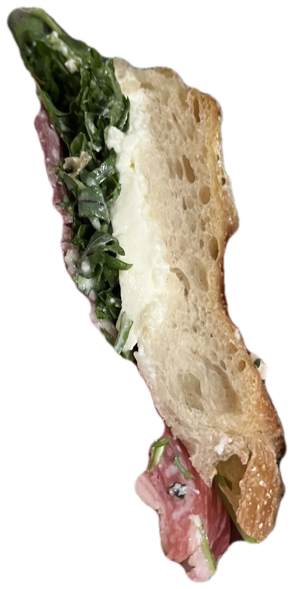 The Thin Slice, photographed in cross-section.